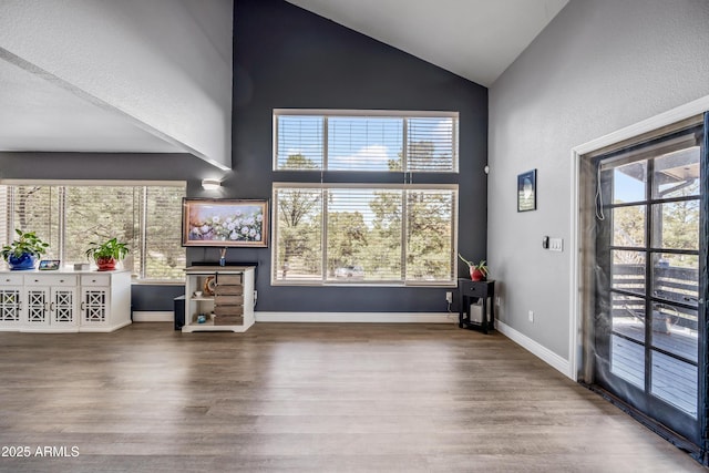 unfurnished living room featuring wood finished floors, high vaulted ceiling, and plenty of natural light