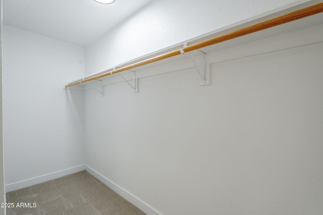 1021 S Almar Cir, Mesa, AZ 85204 - walk in closet with light carpet