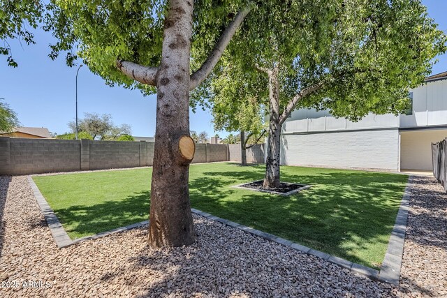 1021 S Almar Cir, Mesa, AZ 85204 - view of yard