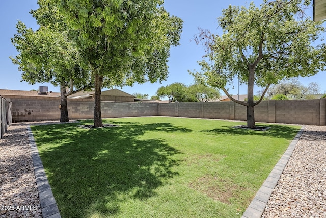 1021 S Almar Cir, Mesa, AZ 85204 - view of yard