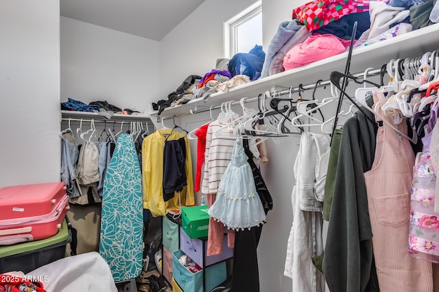 view of spacious closet