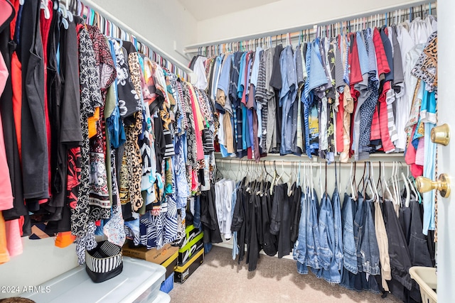 walk in closet with carpet flooring