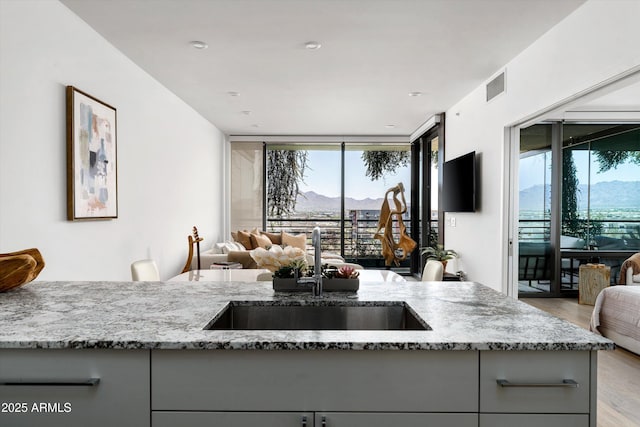 7180 E Kierland Blvd Unit 814, Scottsdale, AZ 85254 - kitchen featuring a sink, open floor plan, light stone counters, light wood-style floors, and gray cabinets