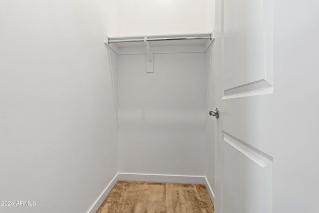 spacious closet featuring light colored carpet