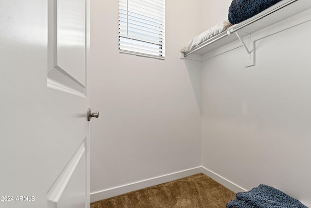 walk in closet featuring dark colored carpet