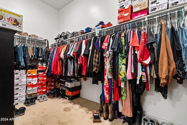 spacious closet featuring carpet floors