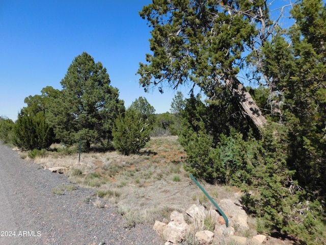 Listing photo 3 for 3337 Apache Dr Unit 373, Overgaard AZ 85933