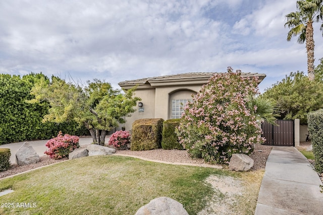 view of front of home featuring a front yard