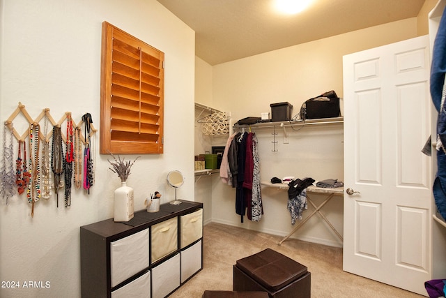 spacious closet with light carpet