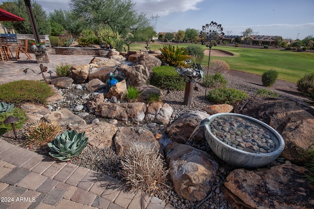 view of yard featuring a patio