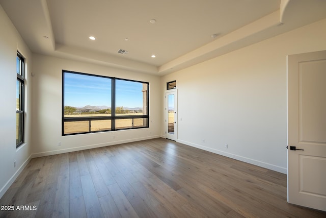 spare room with wood-type flooring and a raised ceiling