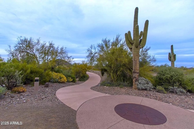 12679 W Lowden Rd, Peoria, AZ 85383 - view of home's community featuring a patio