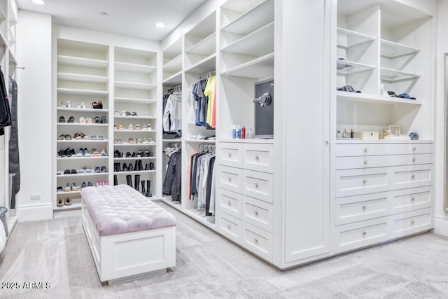 spacious closet with light colored carpet