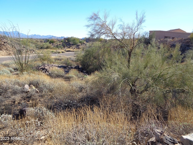 Listing photo 2 for 15210 N Elena Drive -, Fountain Hills AZ 85268