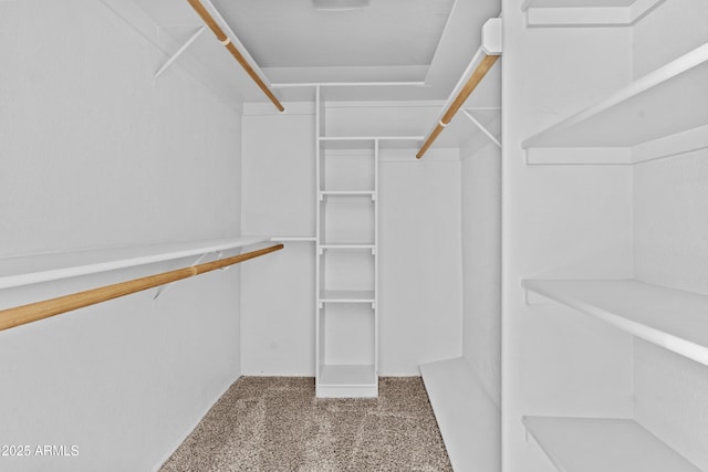 walk in closet featuring carpet