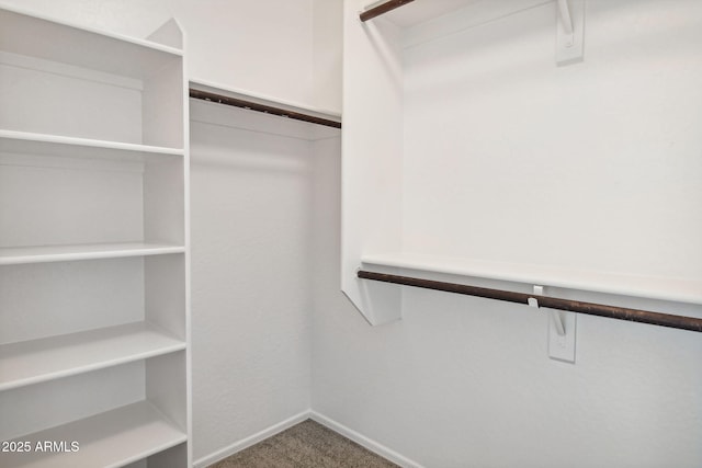 spacious closet with carpet