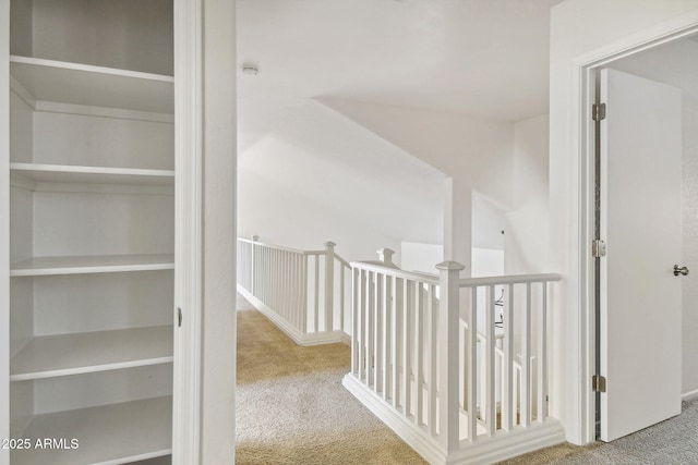 hallway featuring carpet flooring