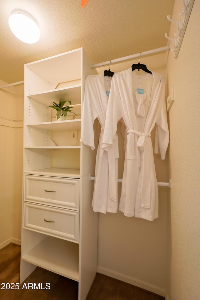 view of walk in closet