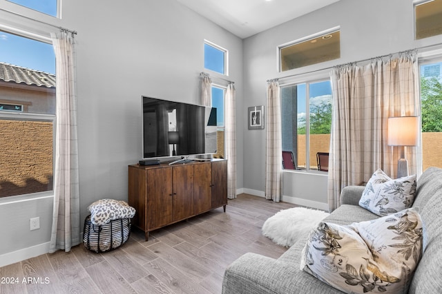 living room with plenty of natural light and light hardwood / wood-style flooring