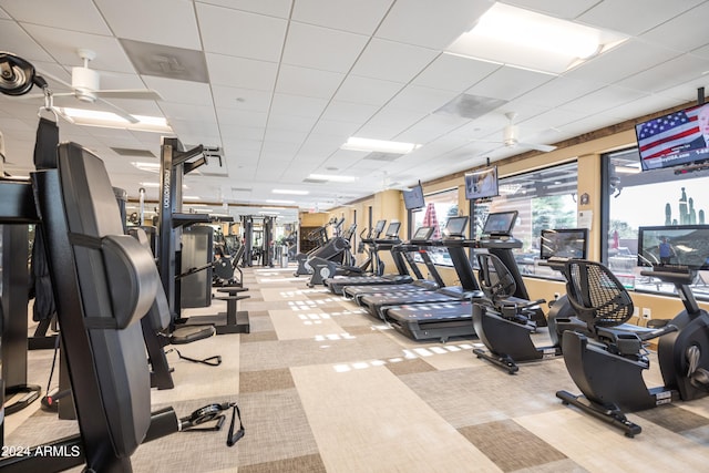 exercise room with a drop ceiling, ceiling fan, and light colored carpet