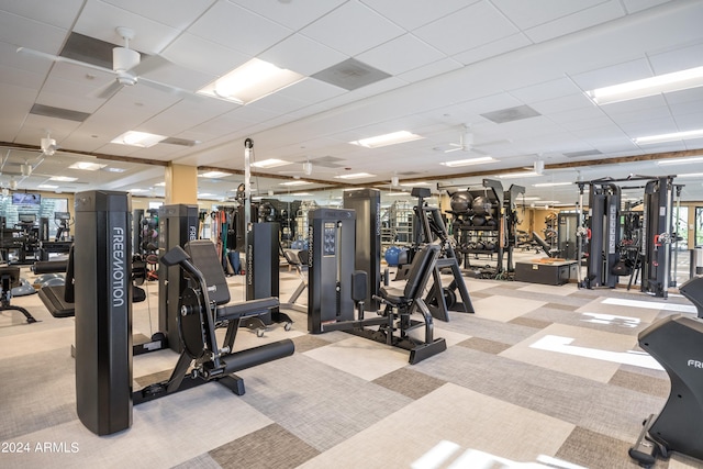 workout area with light carpet, a paneled ceiling, and ceiling fan