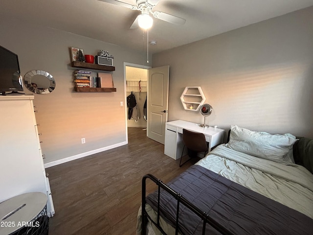 bedroom with a walk in closet, dark wood-type flooring, ceiling fan, and a closet