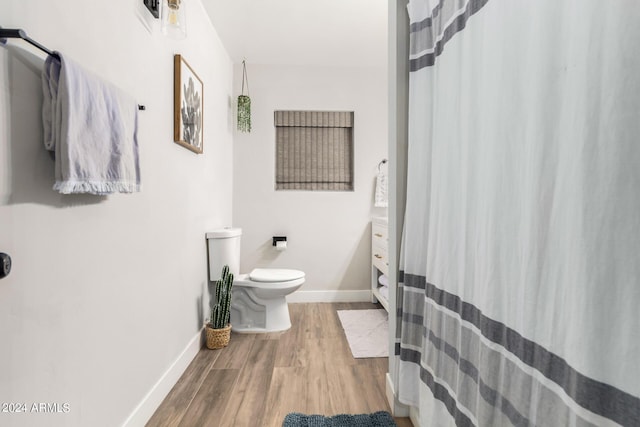 bathroom featuring vanity, hardwood / wood-style flooring, and toilet