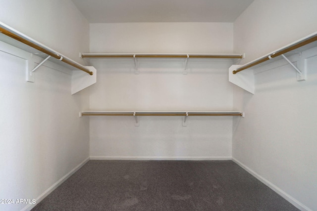 spacious closet featuring dark colored carpet