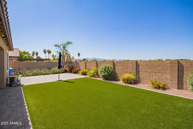 15862 W Fillmore St, Goodyear, AZ 85338 - view of yard featuring a patio area