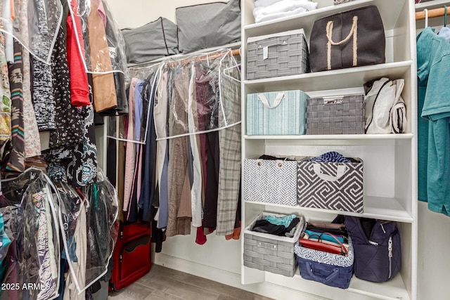 spacious closet with wood finished floors