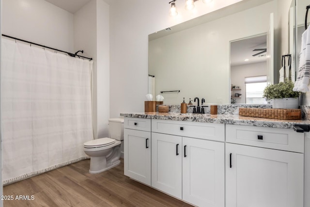 6356 S Granite St, Gilbert, AZ 85298 - full bathroom featuring wood finished floors, toilet, vanity, and a shower with curtain