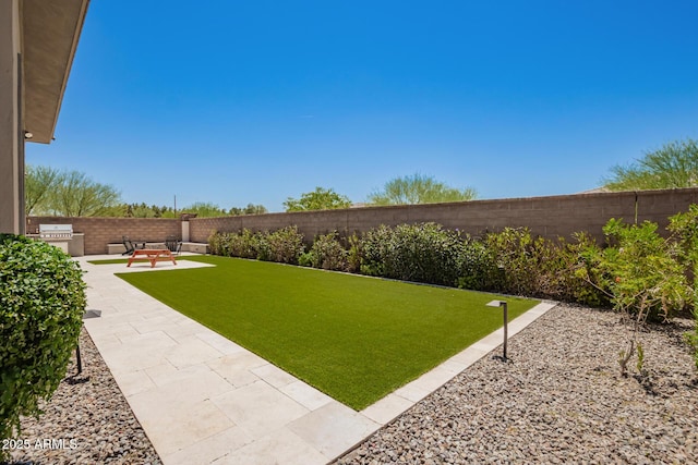6356 S Granite St, Gilbert, AZ 85298 - view of yard featuring a patio and area for grilling