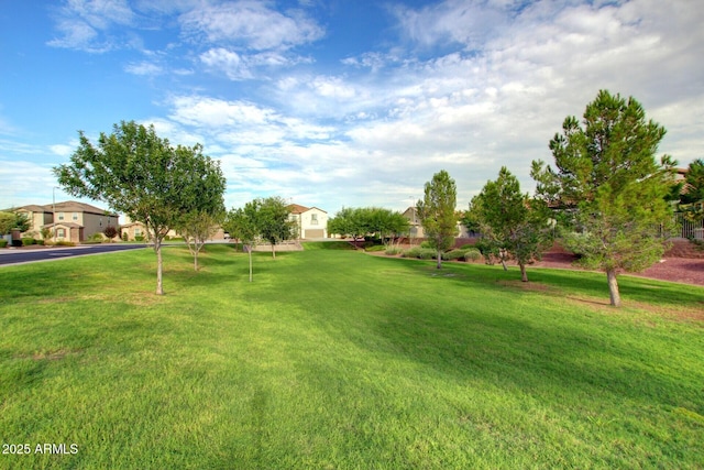6356 S Granite St, Gilbert, AZ 85298 - view of grassy yard