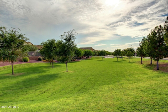 6356 S Granite St, Gilbert, AZ 85298 - view of green lawn
