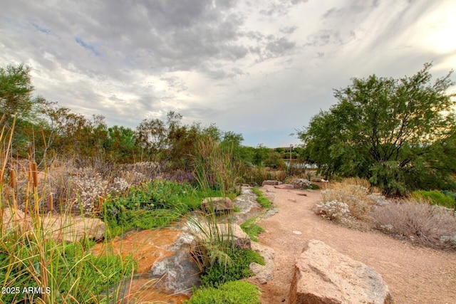 6356 S Granite St, Gilbert, AZ 85298 - view of yard