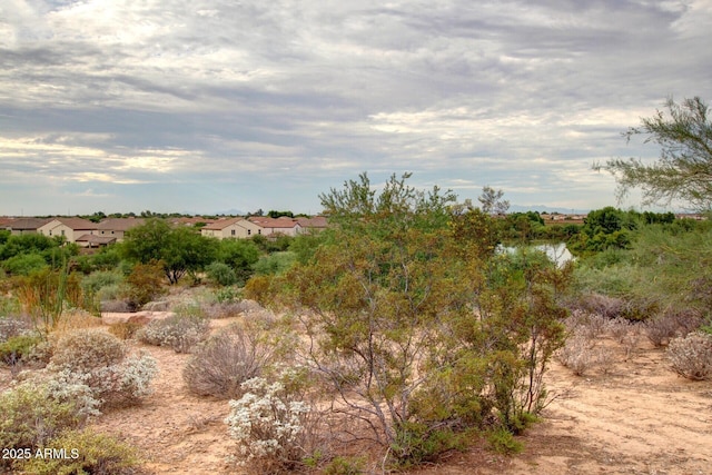 6356 S Granite St, Gilbert, AZ 85298 - view of local wilderness