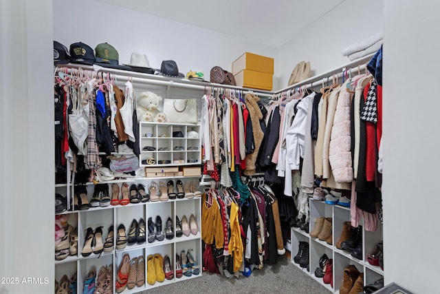 spacious closet with carpet