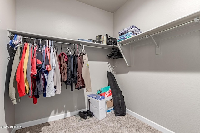 18800 W Madison St, Buckeye, AZ 85326 - walk in closet featuring carpet