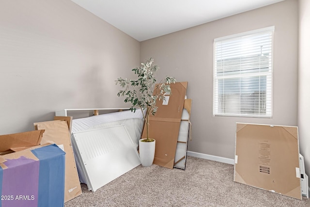 18800 W Madison St, Buckeye, AZ 85326 - miscellaneous room with baseboards and carpet flooring