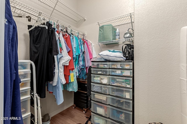 walk in closet featuring hardwood / wood-style flooring