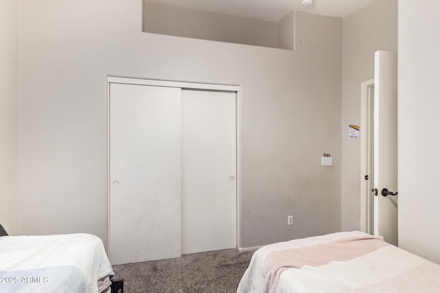 3821 N 125th Dr, Avondale, AZ 85392 - bedroom with carpet and a closet