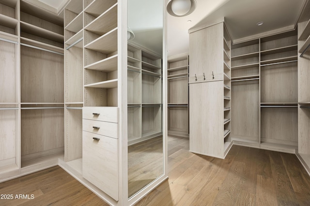 spacious closet featuring hardwood / wood-style flooring