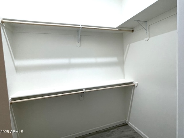 spacious closet featuring wood-type flooring