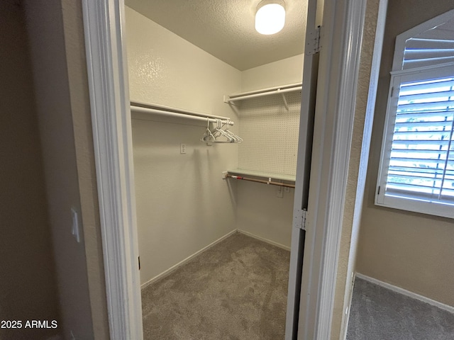 20713 N 56th Ave, Glendale, AZ 85308 - walk in closet featuring carpet flooring