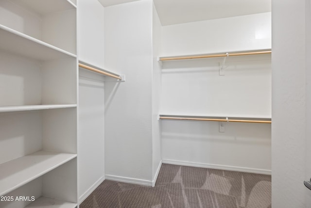 spacious closet featuring carpet floors