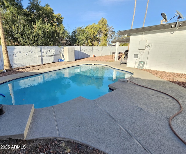 view of swimming pool featuring a fenced in pool, a fenced backyard, and a patio