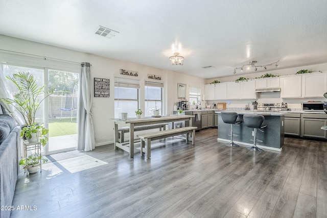 interior space featuring visible vents and dark wood-type flooring