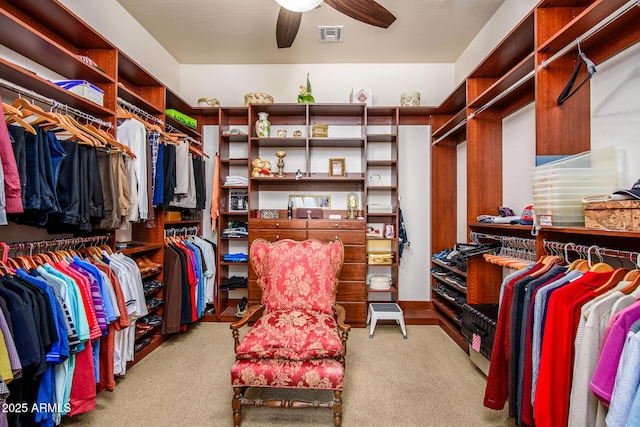 42311 W Good Vibrations Ln, Maricopa, AZ 85138 - spacious closet featuring ceiling fan and carpet floors