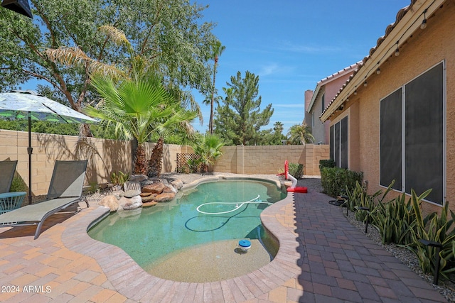 view of pool featuring a patio area