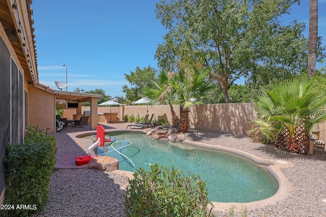 view of swimming pool featuring a patio area